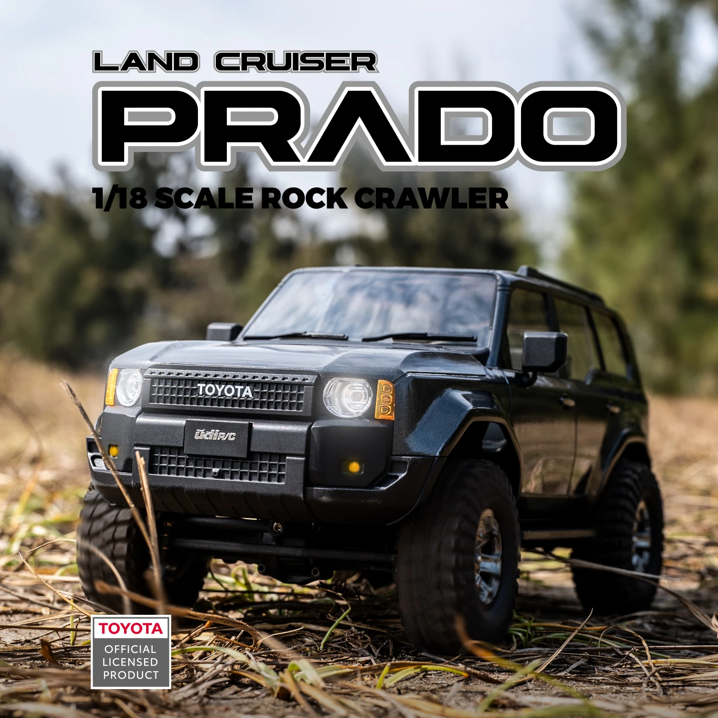 UDIRC 1/18 1/24 schaal Rock Cr - Rc Hobby Grade Truck recensie en prijs